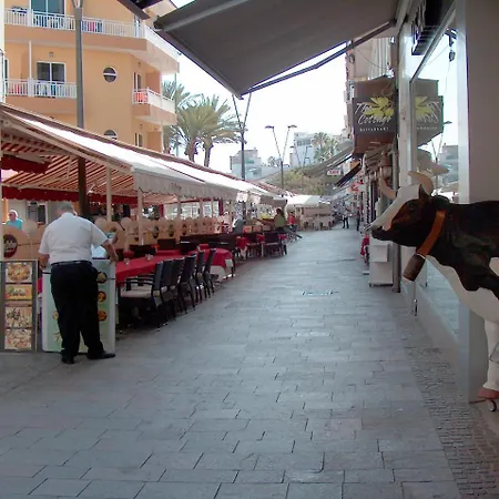 Appartement & Cristianos By Helloapartments