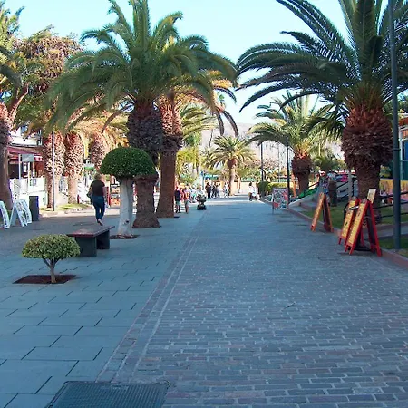 Appartement & Cristianos By Helloapartments Los Cristianos (Tenerife)